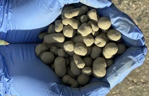 boues-polluees boues polluees